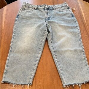 Blank NYC Light Blue Denim Shorts /pants
